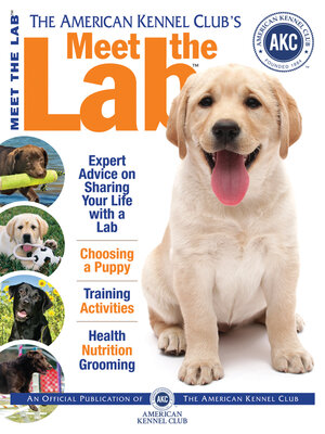cover image of Meet the Lab